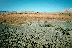 Negev Desert (click to enlarge)