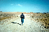 Negev Desert (click to enlarge)